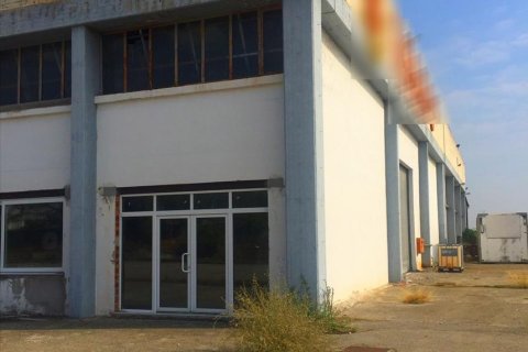 10500m² Business in Imathia, Greece No. 58445 2