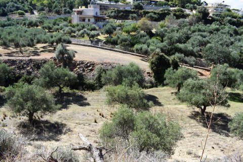 9848m² Land en Chania, Greece No. 58447 6