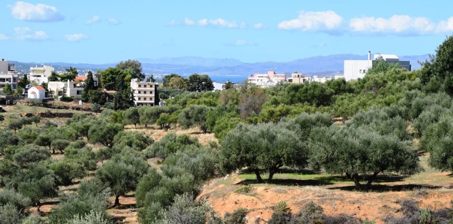 9848m² Land in Chania, Greece No. 58447