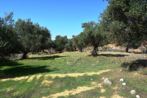 9848m² Land in Chania, Greece No. 58447 2