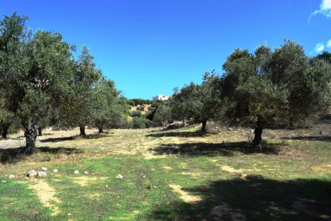 9848m² Land in Chania, Greece No. 58447 5