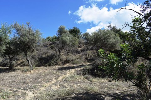 9848m² Land in Chania, Greece No. 58447 7