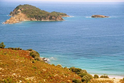 40687m² Land in Chalkidiki, Greece No. 58540 2