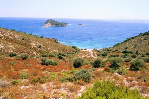 40687m² Land en Chalkidiki, Greece No. 58540 1