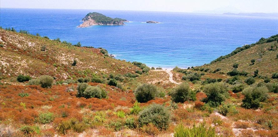 40687m² Land in Chalkidiki, Greece No. 58540