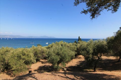 42000m² Land in Corfu, Greece No. 58537 2