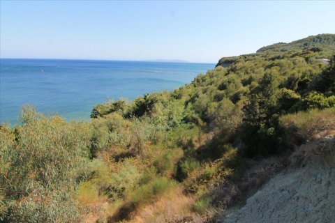 42000m² Land in Corfu, Greece No. 58537 6