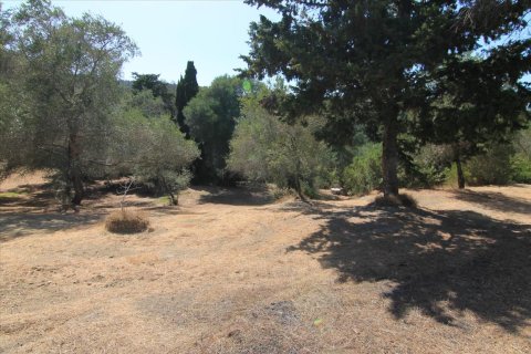 42000m² Land in Corfu, Greece No. 58537 9