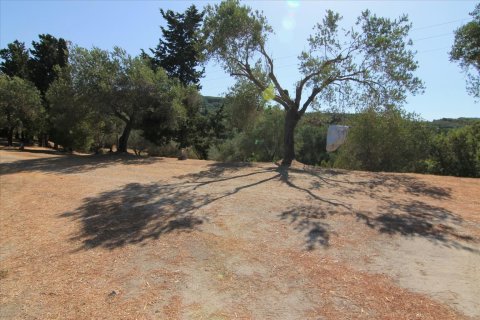 42000m² Land in Corfu, Greece No. 58537 5