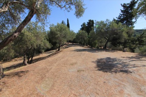 42000m² Land in Corfu, Greece No. 58537 4