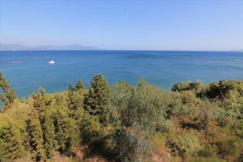 42000m² Land in Corfu, Greece No. 58537 7