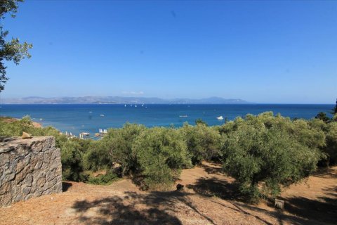 42000m² Land in Corfu, Greece No. 58537 1