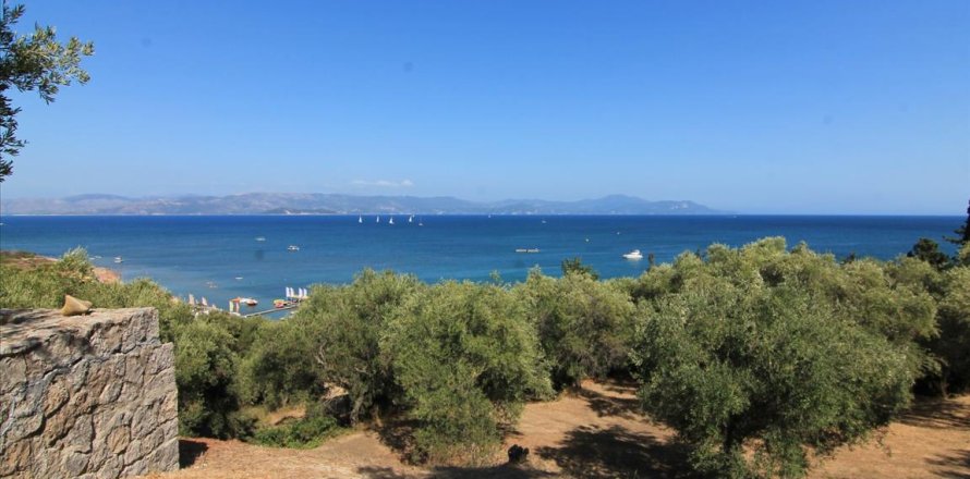 42000m² Land in Corfu, Greece No. 58537