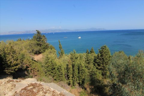 42000m² Land in Corfu, Greece No. 58537 8