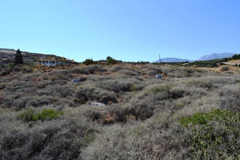 25500m² Land à Rethymno, Greece No. 58518 4