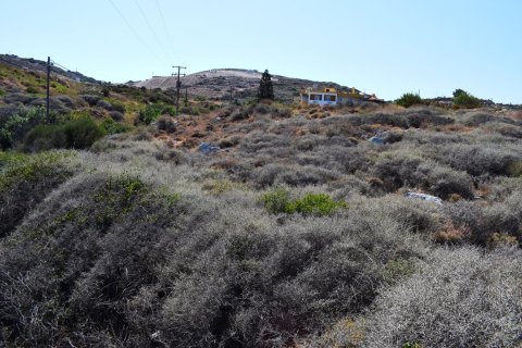 25500m² Land in Rethymno, Greece No. 58518 5