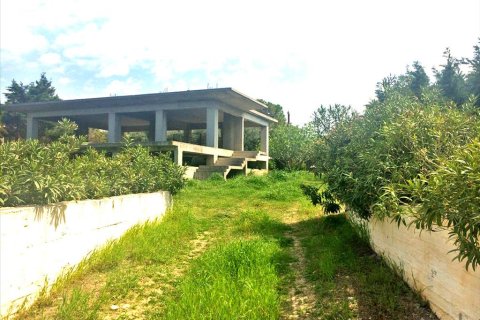 400m² Maisonnette à Loutraki, Greece No. 59768 2