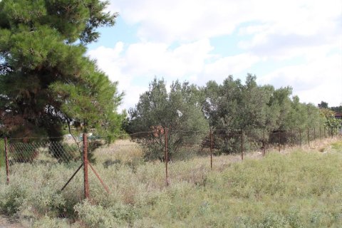 2600m² Land en Chalkidiki, Greece No. 60613 4