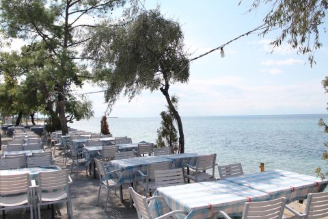 2600m² Land in Chalkidiki, Greece No. 60613 6