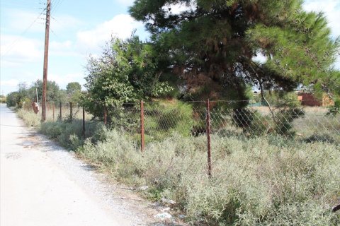 2600m² Land en Chalkidiki, Greece No. 60613 3