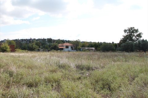 2600m² Land à Chalkidiki, Greece No. 60613 1