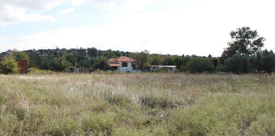 2600m² Land in Chalkidiki, Greece No. 60613