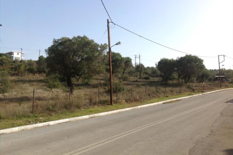 3300m² Land in Polygyros, Greece No. 60669 3