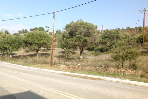 3300m² Land en Polygyros, Greece No. 60669 4