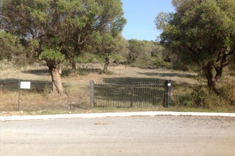 3300m² Land in Polygyros, Greece No. 60669 1