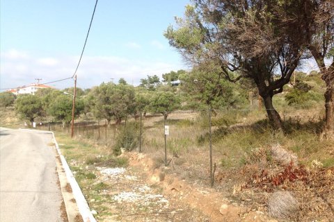 3300m² Land en Polygyros, Greece No. 60669 6