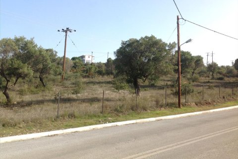 3300m² Land en Polygyros, Greece No. 60669 2