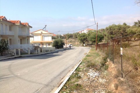 3300m² Land en Polygyros, Greece No. 60669 5