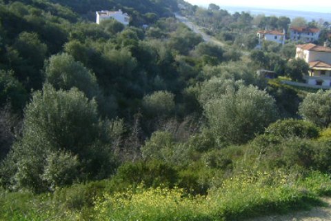 11600m² Land à Chalkidiki, Greece No. 60668 4