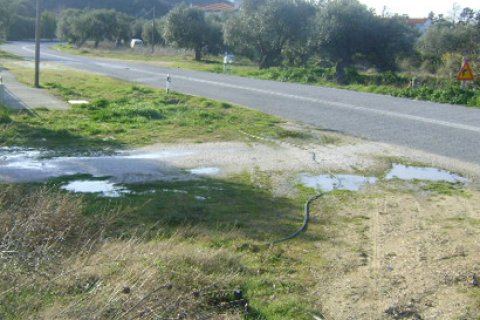 11600m² Land in Chalkidiki, Greece No. 60668 5