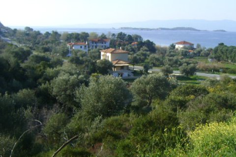 11600m² Land in Chalkidiki, Greece No. 60668 6