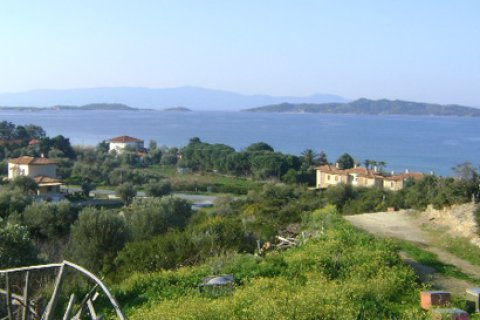 11600m² Land in Chalkidiki, Greece No. 60668 1