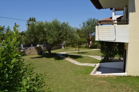 600m² Hotel à Chalkidiki, Greece No. 60611 5