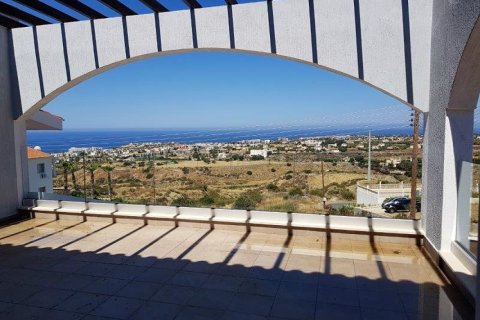 8 bedrooms Villa in Paphos, Cyprus No. 51002 13