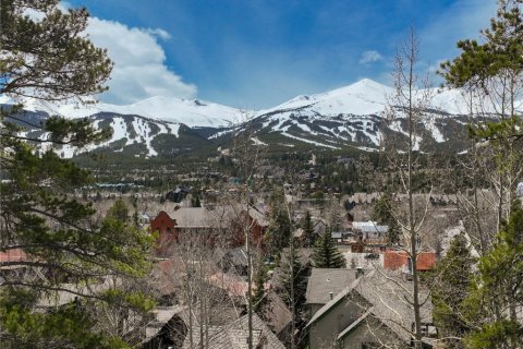 4 dormitorios House en Breckenridge, USA No. 62359 29