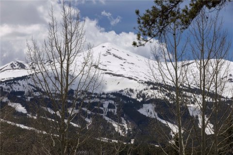 4 chambres House à Breckenridge, USA No. 62359 14