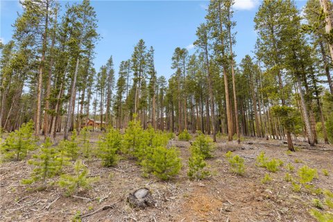 Land en Breckenridge, USA No. 62360 6