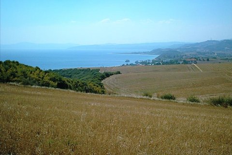 11200m² Land en Chalkidiki, Greece No. 57867 7