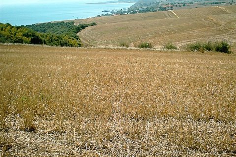 11200m² Land en Chalkidiki, Greece No. 57867 5