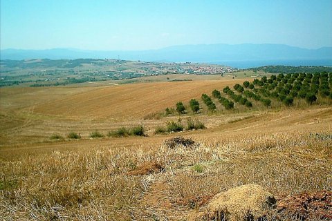 11200m² Land in Chalkidiki, Greece No. 57867 1