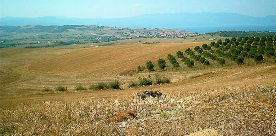 11200m² Land in Chalkidiki, Greece No. 57867