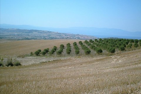 11200m² Land en Chalkidiki, Greece No. 57867 6