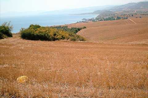 11200m² Land à Chalkidiki, Greece No. 57867 4