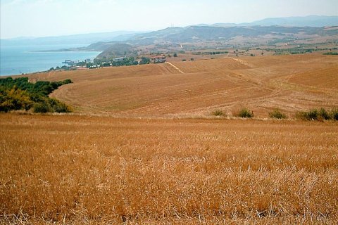 11200m² Land in Chalkidiki, Greece No. 57867 3