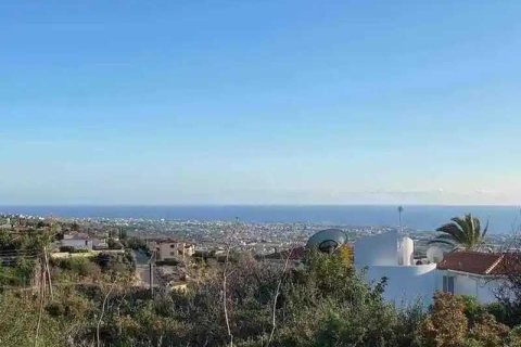 7358m² Land à Tala, Cyprus No. 35438 5