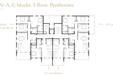 2+1 Penthouse à Alanya, Turkey No. 12100 16